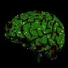 Изображение Ученые из Нижнего Новгорода разрабатывают нейрочип, способный заменить поврежденные участки мозга.