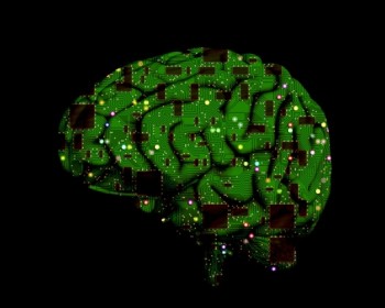 Ученые из Нижнего Новгорода разрабатывают нейрочип, способный заменить поврежденные участки мозга.